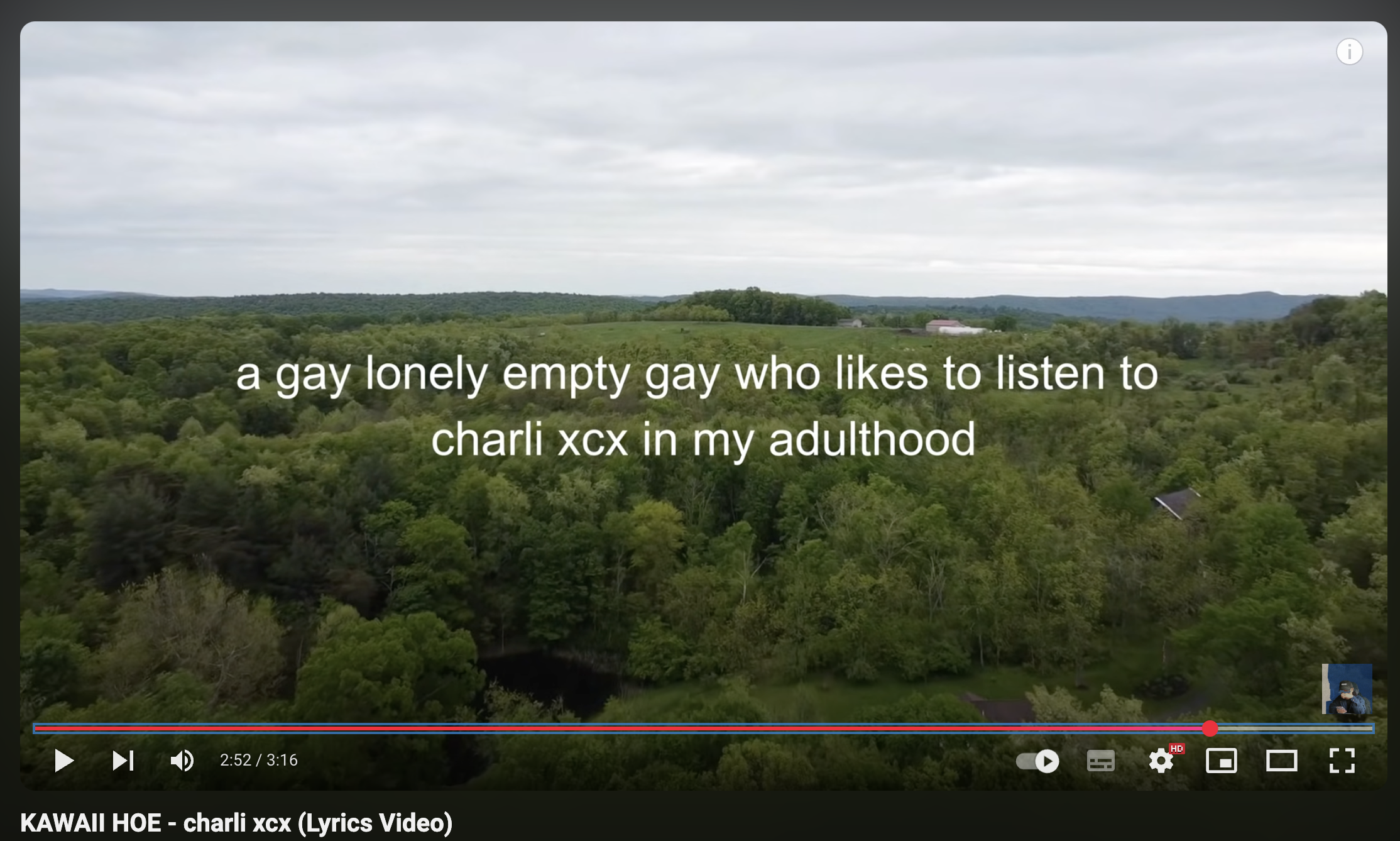 a gay lonely empty gay who likes to listen to charli xcx in my adulthood