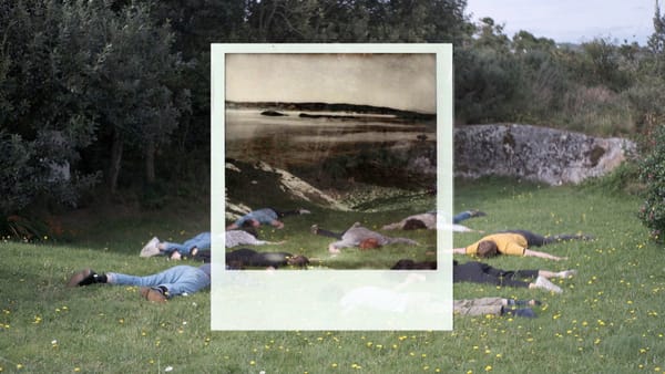 composite of 2 images. One; Trá Pháidin lying face down in grass at forest's edge. other; b&w Polaroid of a dramatic coast